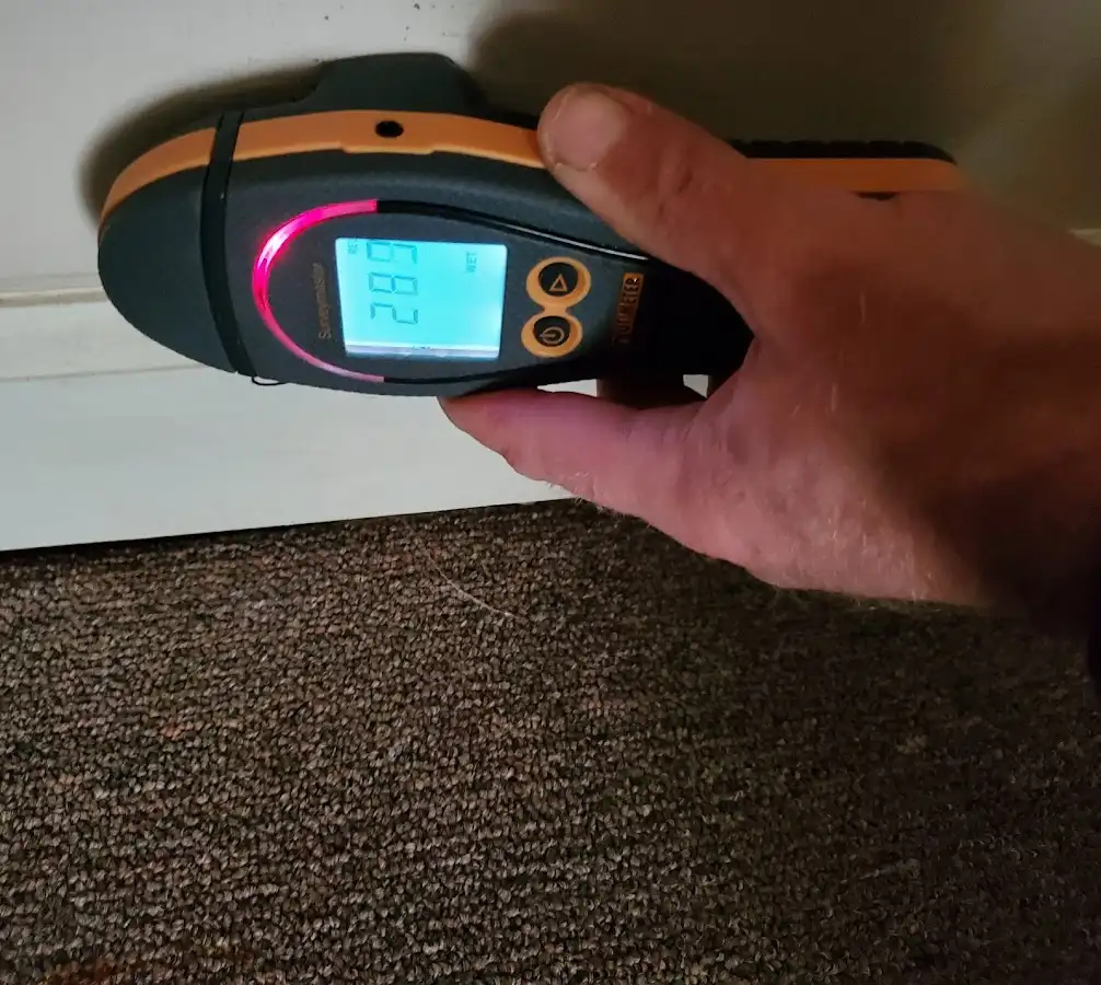 Moisture detection at baseboard during Sewage Cleanup & Sanitation in Wilmington